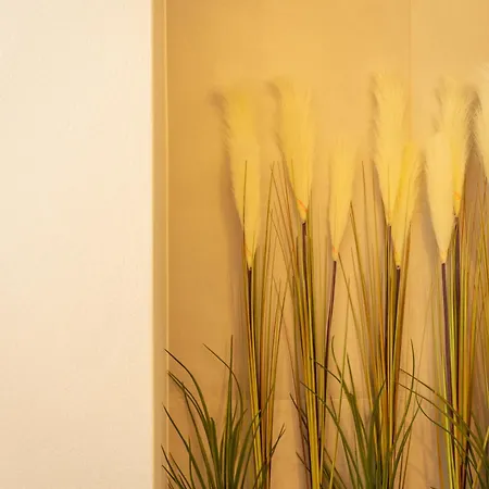 Johnny's Beach Bay 3*