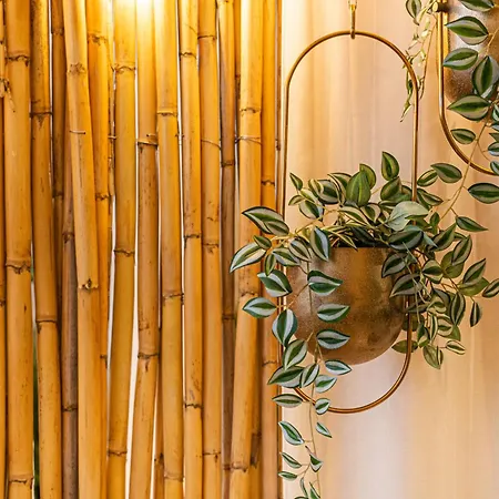 Johnny's Beach Bay Guest house 3*